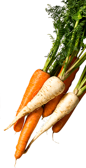 Parsnips and Carrots