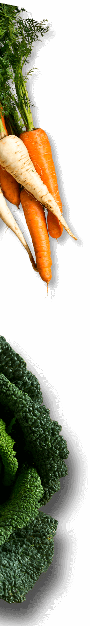 Carrots, Parsnips and Broccoli